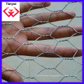 Galvanzied Hexagonal Wire Mesh/Chicken Mesh